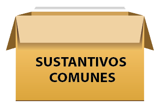 caja de sustativos comunes